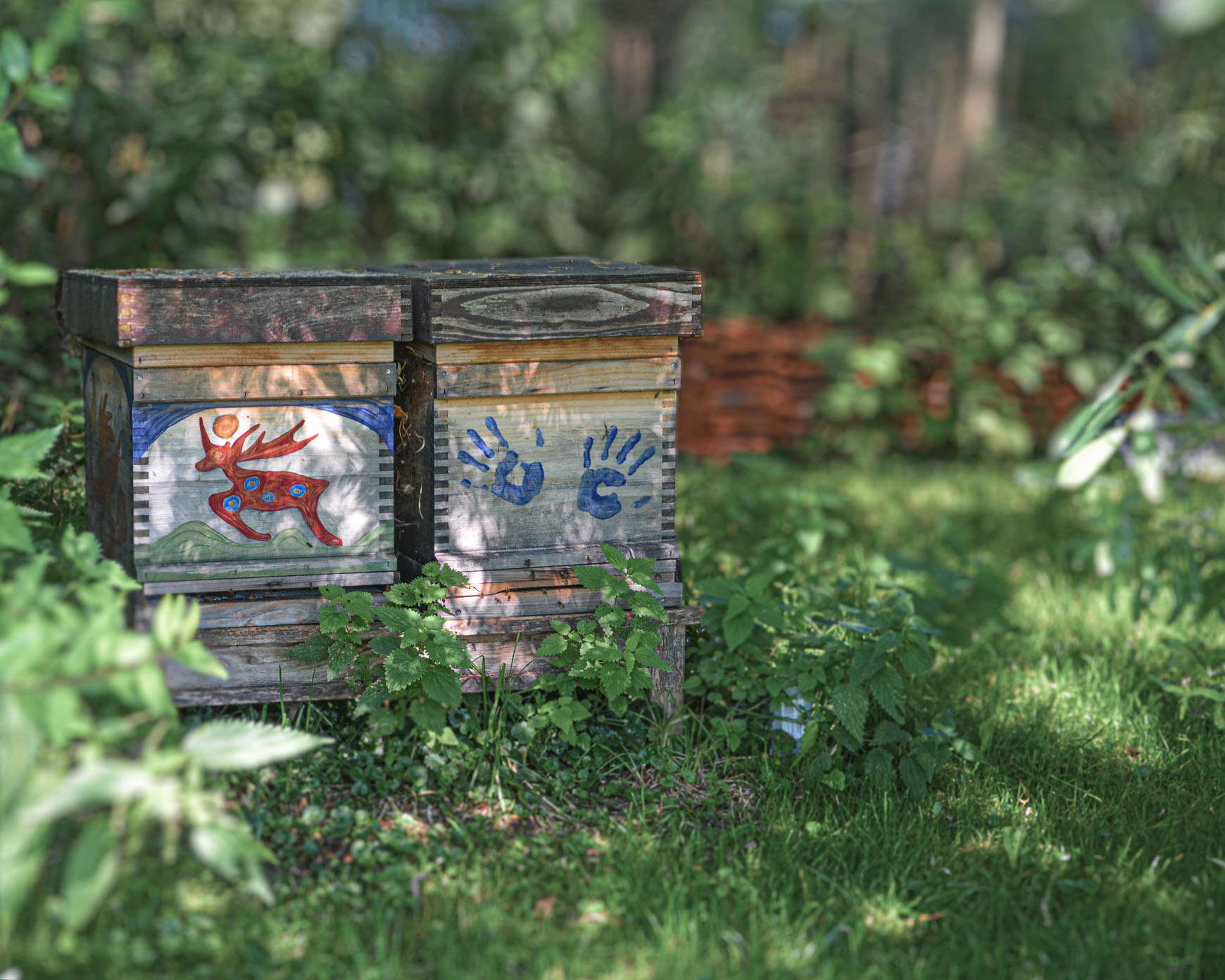 Be(e) Spirit - Imkerkurse